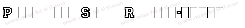 Princetown Solid Regular字体转换